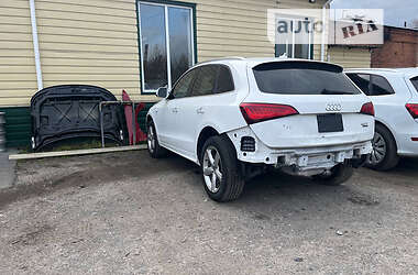 Внедорожник / Кроссовер Audi Q5 2016 в 