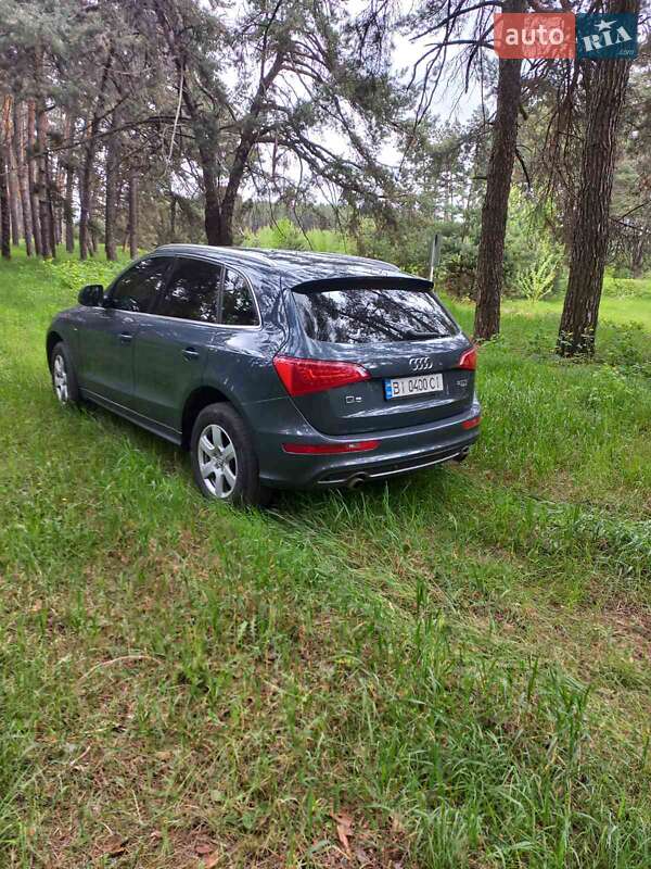 Внедорожник / Кроссовер Audi Q5 2010 в Гадяче