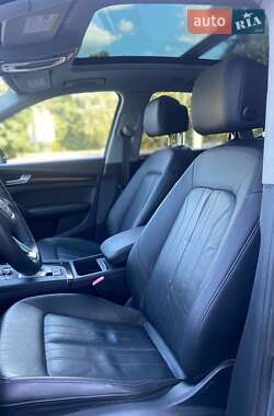 Внедорожник / Кроссовер Audi Q5 2019 в 