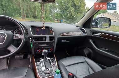 Внедорожник / Кроссовер Audi Q5 2010 в Чернигове