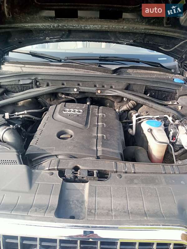 Внедорожник / Кроссовер Audi Q5 2012 в Луцке фото 7 Внедорожник / Кроссовер Audi Q5 2012 в Луцке