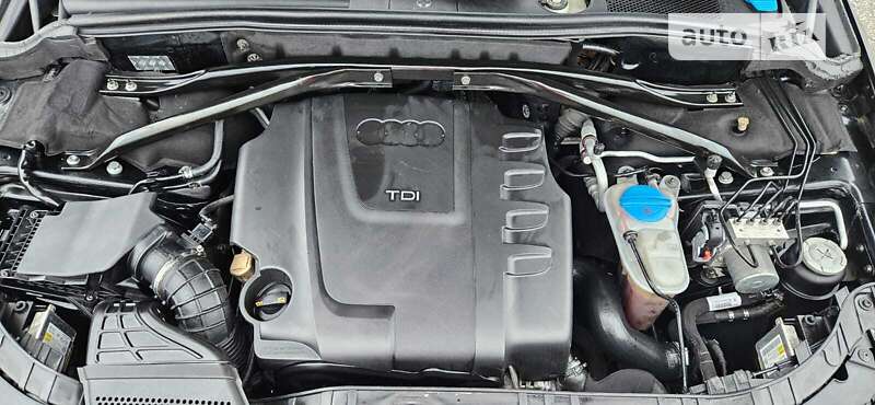 Внедорожник / Кроссовер Audi Q5 2009 в Львове