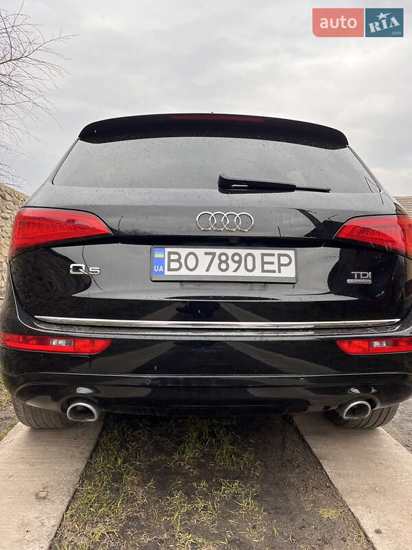 Внедорожник / Кроссовер Audi Q5 2015 в Радехове фото 5 Внедорожник / Кроссовер Audi Q5 2015 в Радехове
