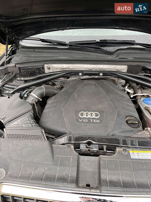 Внедорожник / Кроссовер Audi Q5 2015 в Радехове фото 34 Внедорожник / Кроссовер Audi Q5 2015 в Радехове