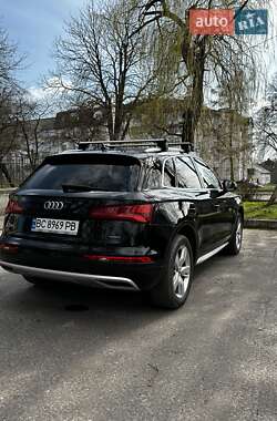 Внедорожник / Кроссовер Audi Q5 2019 в 