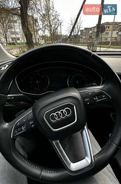 Внедорожник / Кроссовер Audi Q5 2019 в 