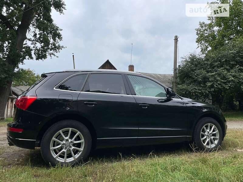 Внедорожник / Кроссовер Audi Q5 2012 в Луцке фото 5 Внедорожник / Кроссовер Audi Q5 2012 в Луцке