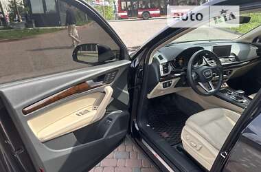 Внедорожник / Кроссовер Audi Q5 2020 в Ивано-Франковске