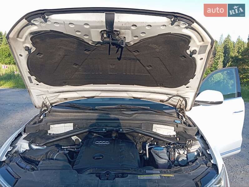 Внедорожник / Кроссовер Audi Q5 2014 в Тернополе фото 20 Внедорожник / Кроссовер Audi Q5 2014 в Тернополе
