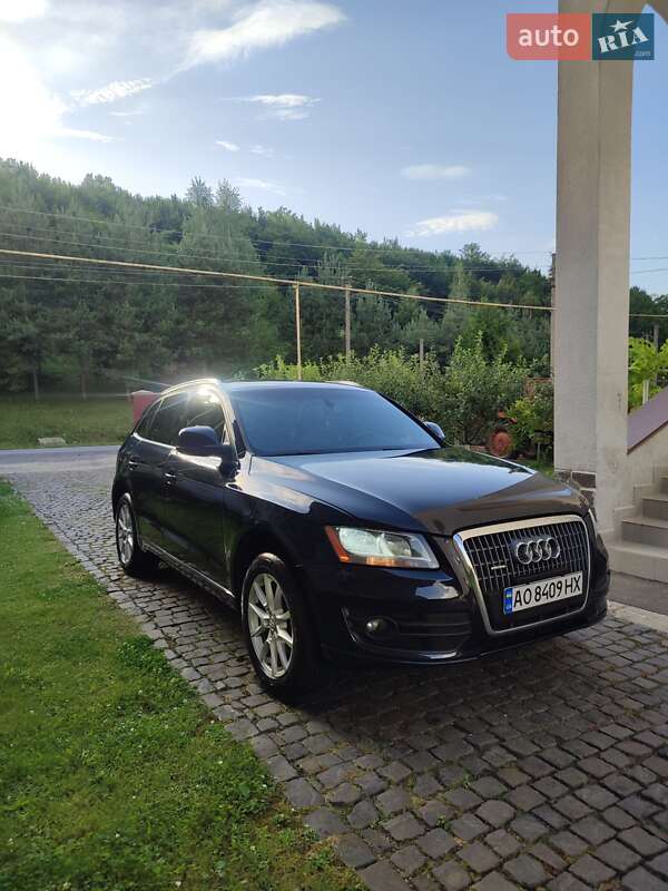 Внедорожник / Кроссовер Audi Q5 2010 в Ужгороде фото 21 Внедорожник / Кроссовер Audi Q5 2010 в Ужгороде