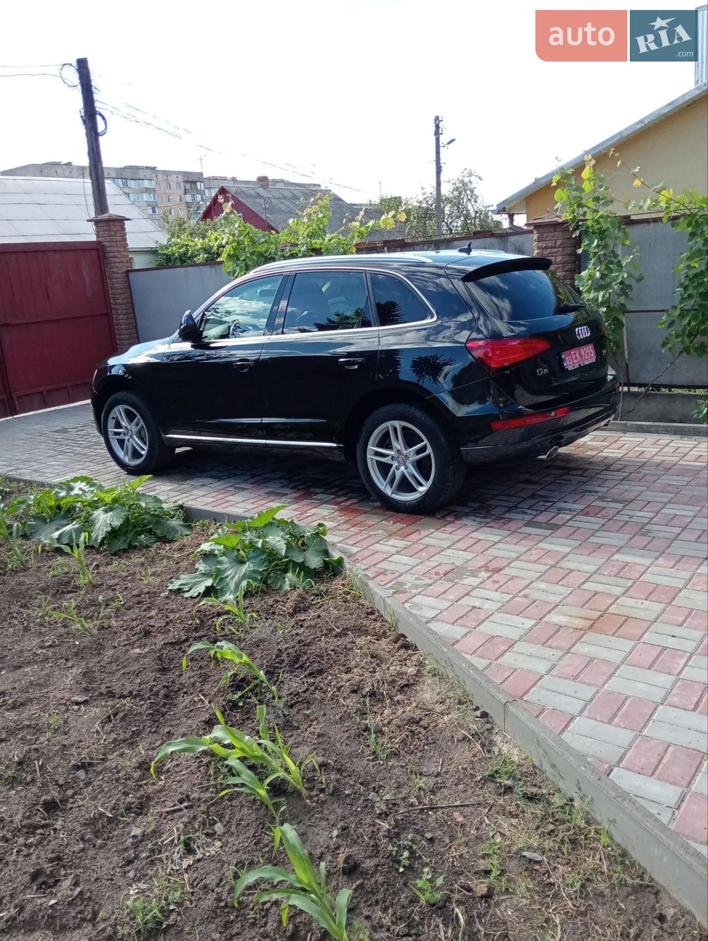 2013 Audi Q5 - мініатюра 3