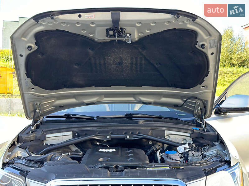 Внедорожник / Кроссовер Audi Q5 2016 в Львове фото 48 Внедорожник / Кроссовер Audi Q5 2016 в Львове