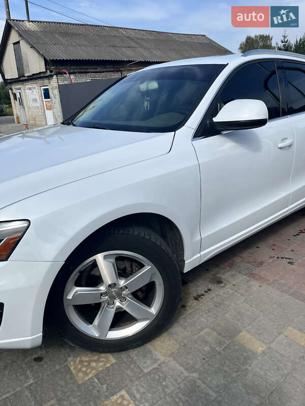Внедорожник / Кроссовер Audi Q5 2011 в Городке