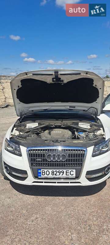 Внедорожник / Кроссовер Audi Q5 2011 в Збараже