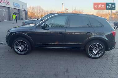 Позашляховик / Кросовер Audi Q5 2010 в Луцьку