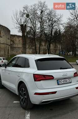 Внедорожник / Кроссовер Audi Q5 2019 в Бережанах