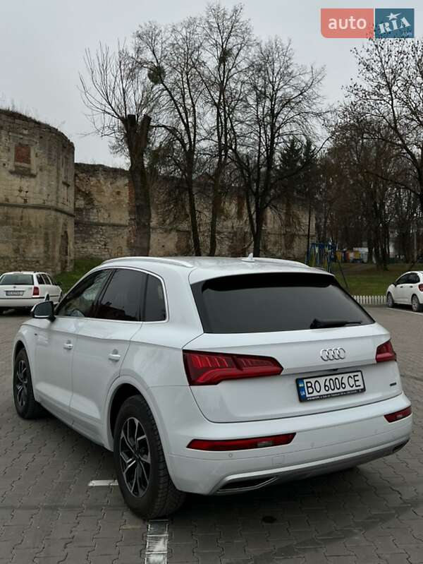 Внедорожник / Кроссовер Audi Q5 2019 в Бережанах