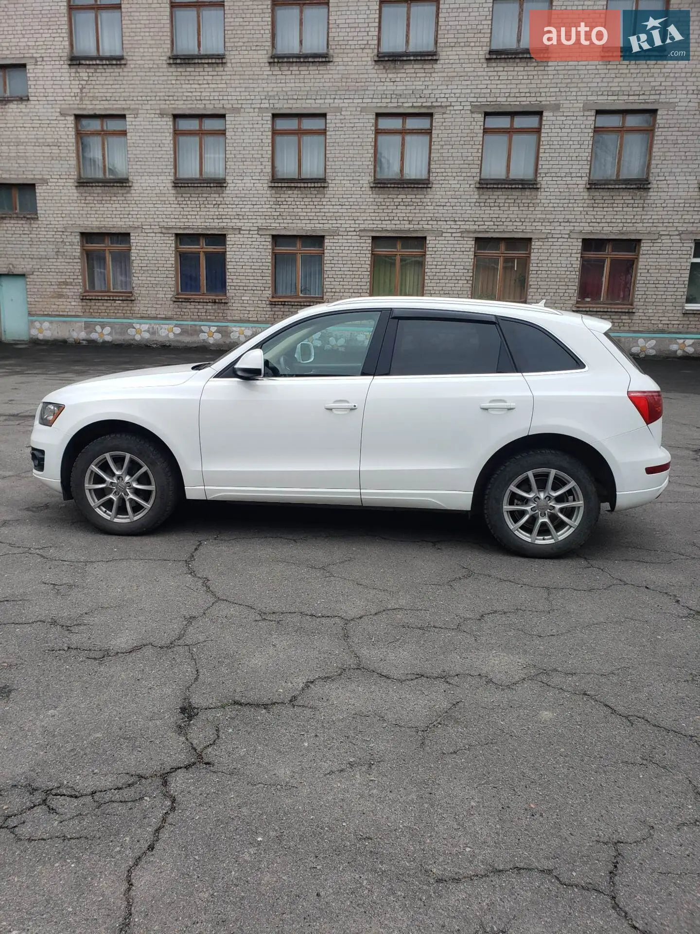 2010 Audi Q5 - мініатюра 2