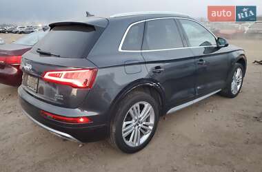 Внедорожник / Кроссовер Audi Q5 2018 в Луцке