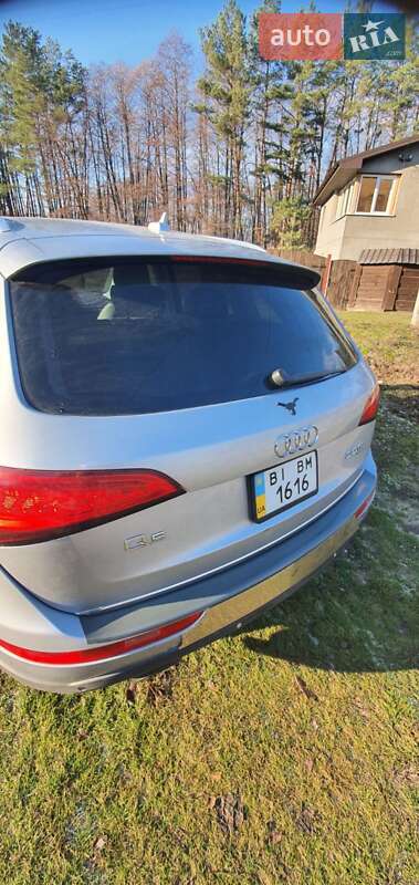 Внедорожник / Кроссовер Audi Q5 2014 в Полтаве