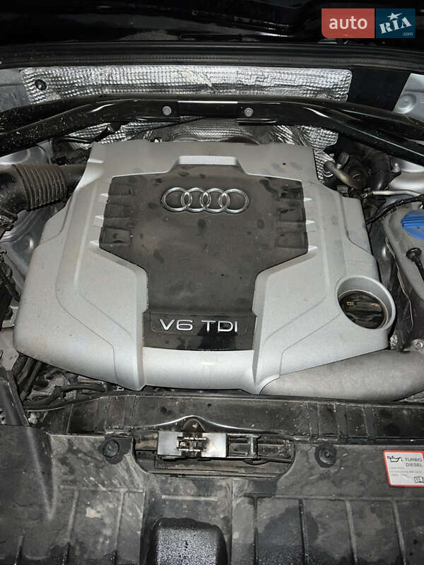 Позашляховик / Кросовер Audi Q5 2009 в Томашполі