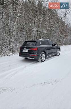 Внедорожник / Кроссовер Audi Q5 2021 в Прилуках