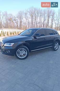 Внедорожник / Кроссовер Audi Q5 2017 в Луцке