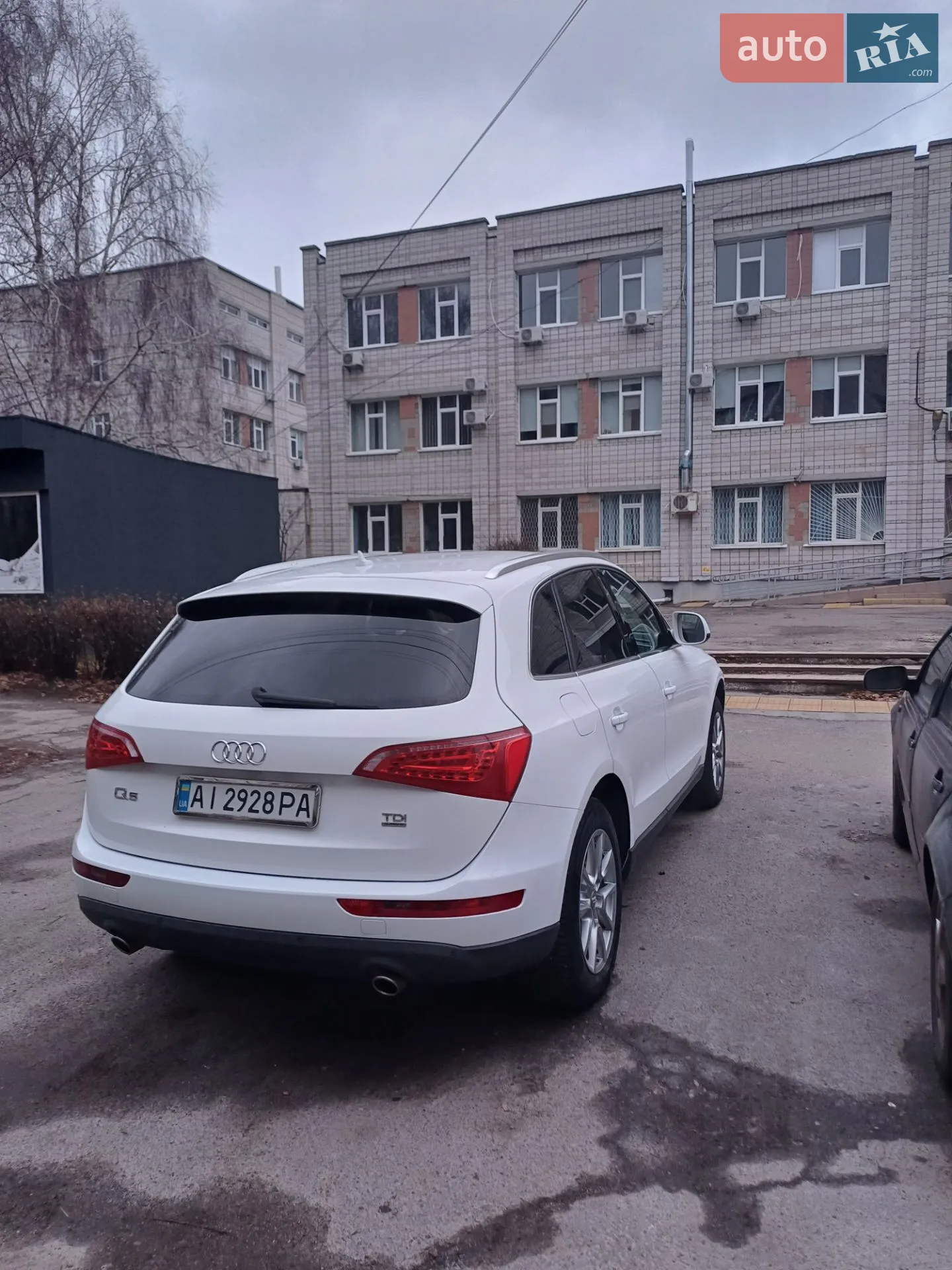 2011 Audi Q5 - мініатюра 3