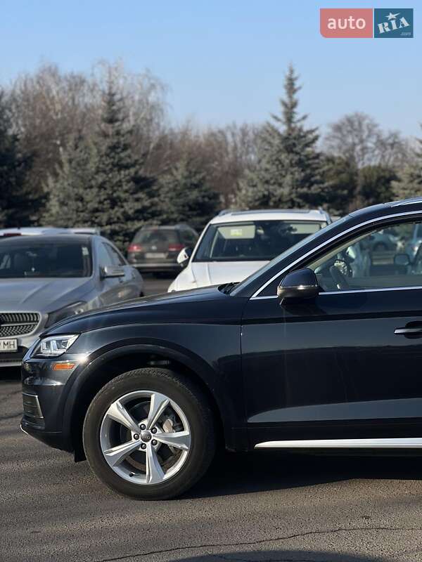 Внедорожник / Кроссовер Audi Q5 2019 в Самборе фото 12 Внедорожник / Кроссовер Audi Q5 2019 в Самборе