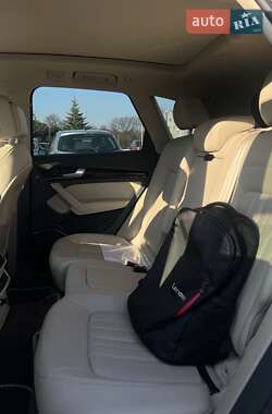 Внедорожник / Кроссовер Audi Q5 2019 в 