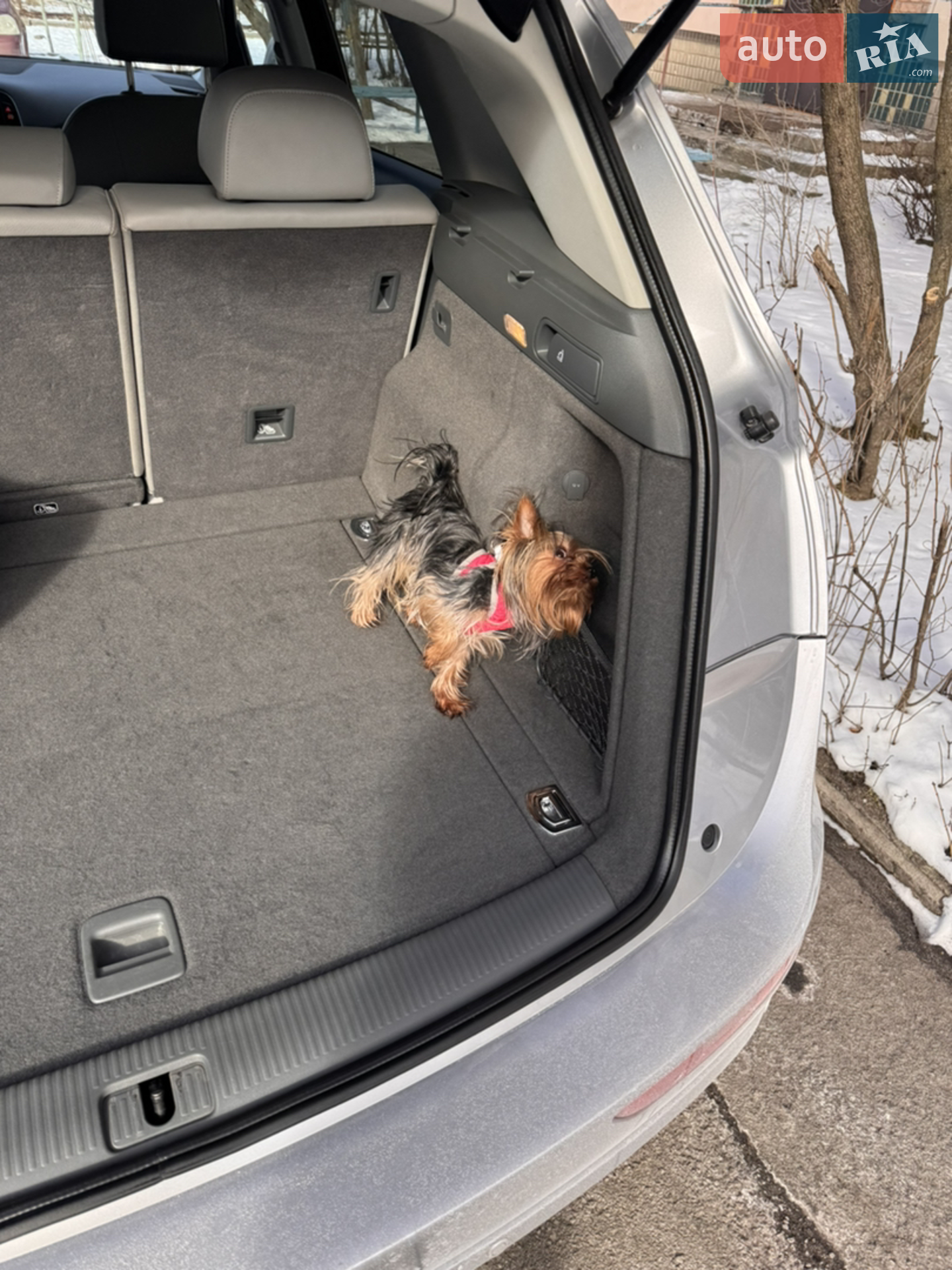2016 Audi Q5 - мініатюра 28