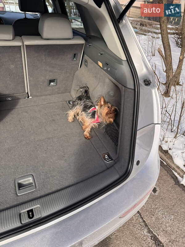 Внедорожник / Кроссовер Audi Q5 2016 в Черновцах фото 28 Внедорожник / Кроссовер Audi Q5 2016 в Черновцах