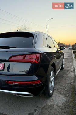 Внедорожник / Кроссовер Audi Q5 2019 в Ровно