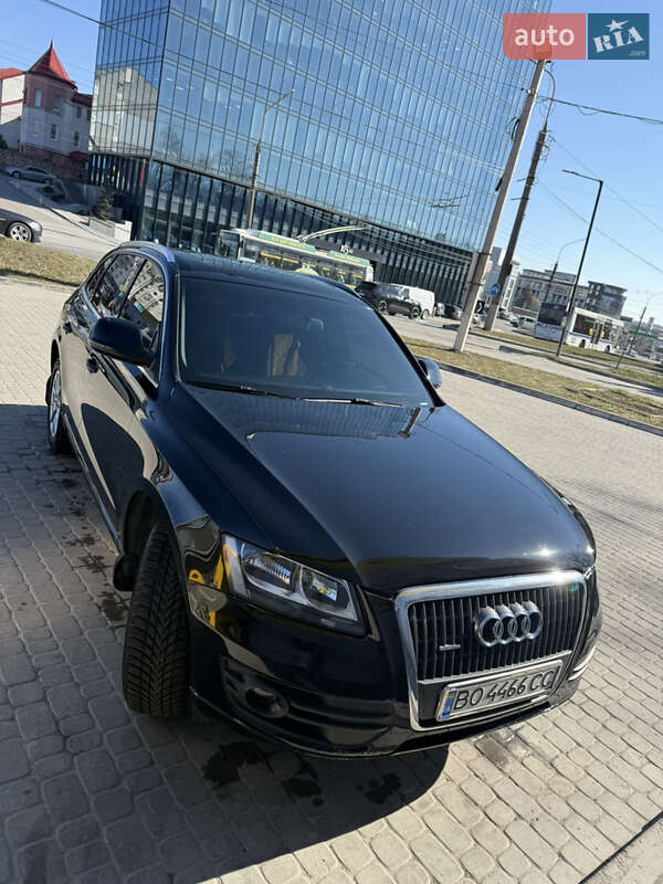 Audi Q5 2010