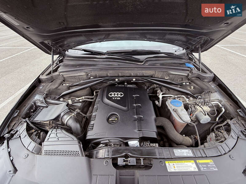 Внедорожник / Кроссовер Audi Q5 2016 в Львове фото 33 Внедорожник / Кроссовер Audi Q5 2016 в Львове