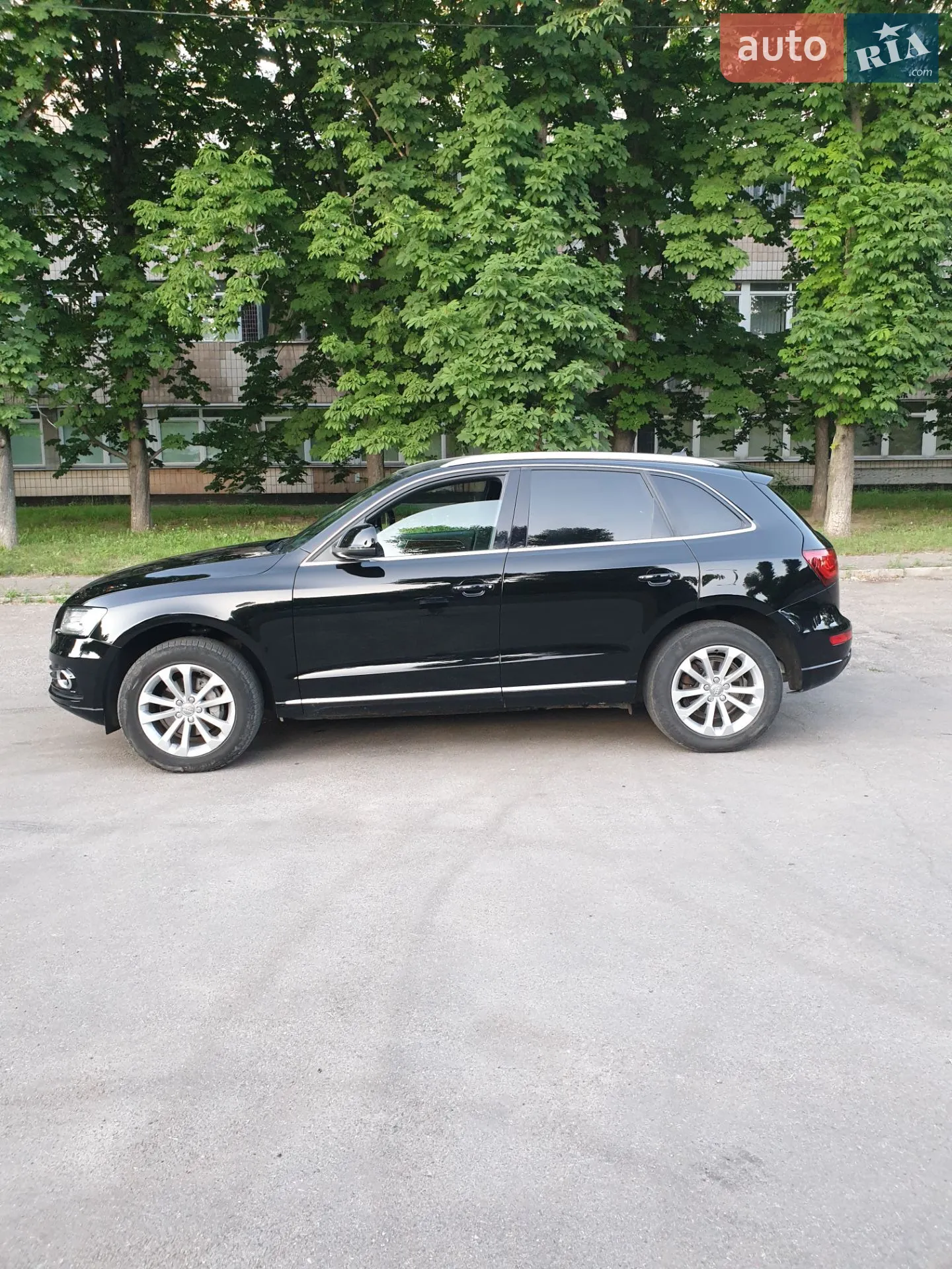 2013 Audi Q5 - мініатюра 3