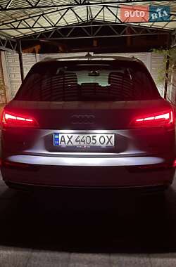Внедорожник / Кроссовер Audi Q5 2023 в 