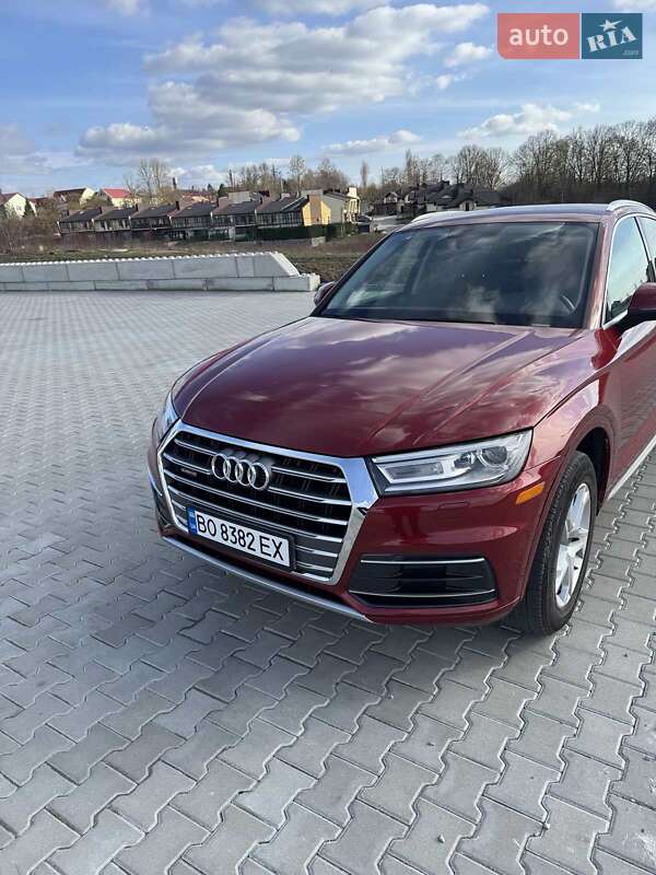 Внедорожник / Кроссовер Audi Q5 2019 в 