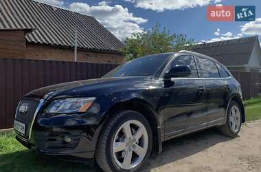 Внедорожник / Кроссовер Audi Q5 2011 в 