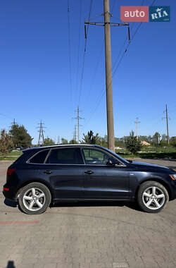 Внедорожник / Кроссовер Audi Q5 2017 в 