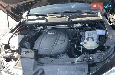 Внедорожник / Кроссовер Audi Q5 2017 в 