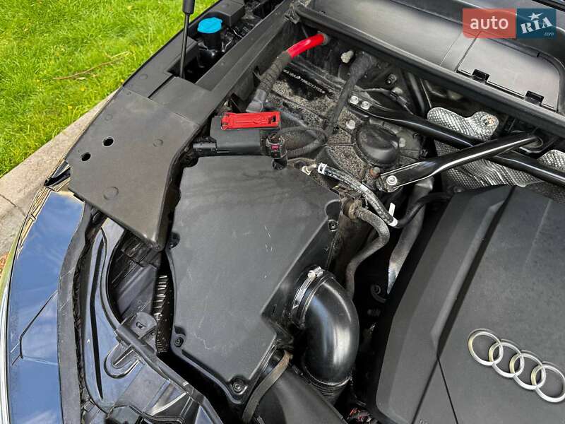 Внедорожник / Кроссовер Audi Q5 2021 в Киеве