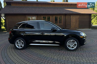 Внедорожник / Кроссовер Audi Q5 2019 в 
