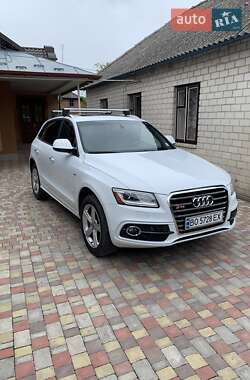 Внедорожник / Кроссовер Audi Q5 2017 в 