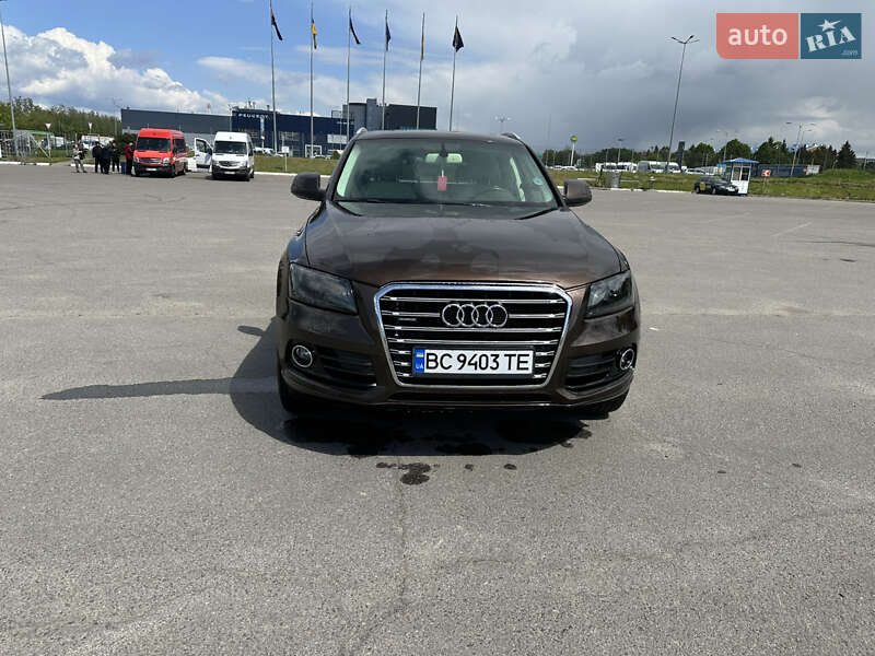 Audi Q5 2013