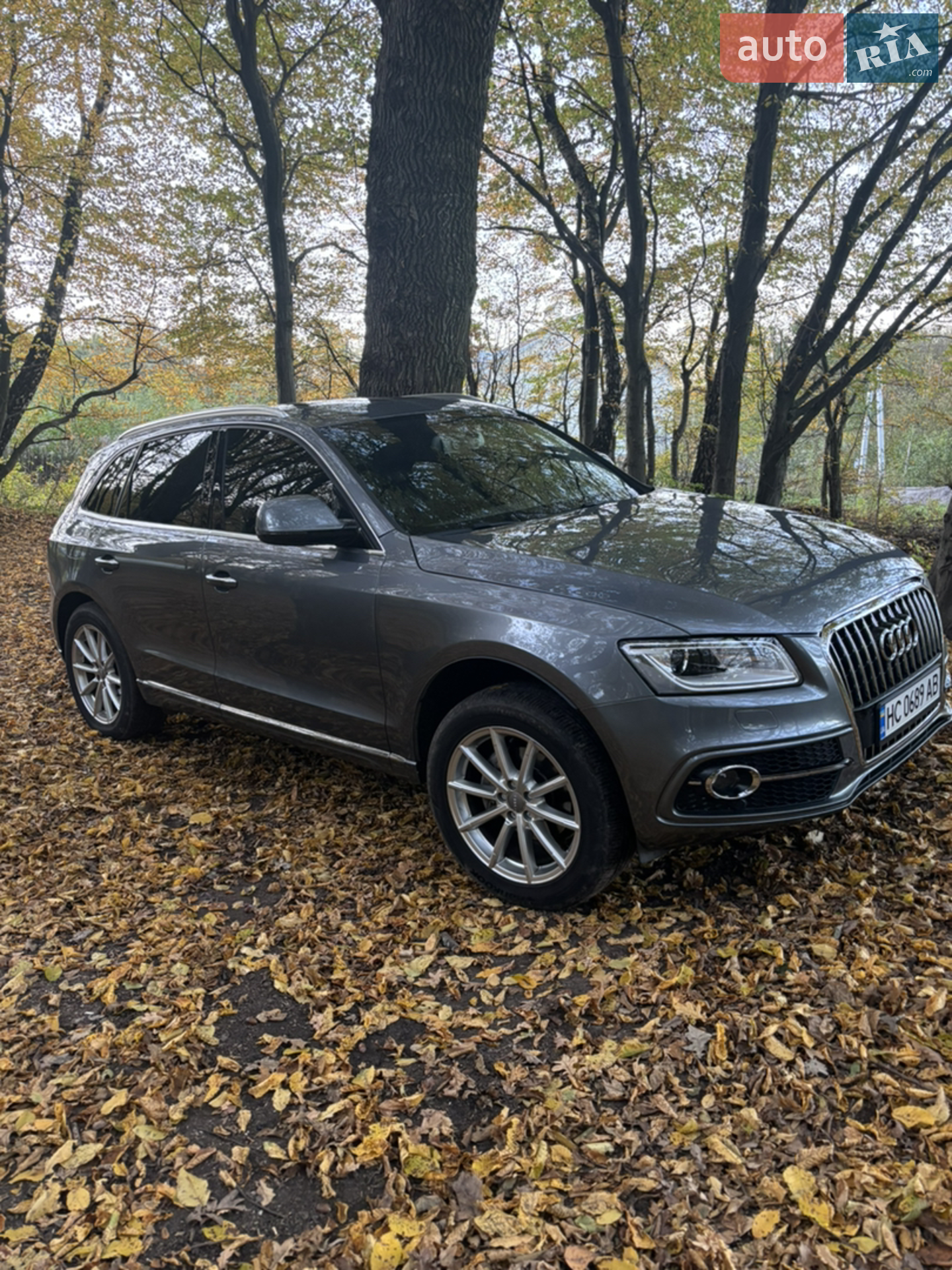 2015 Audi Q5 - фото 1