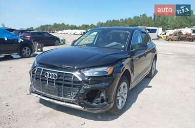 Внедорожник / Кроссовер Audi Q5 2023 в 