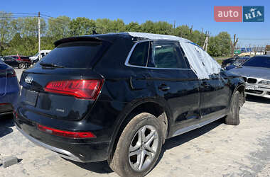 Внедорожник / Кроссовер Audi Q5 2019 в 