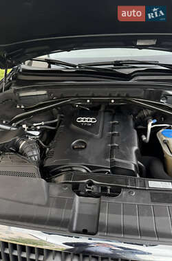 Внедорожник / Кроссовер Audi Q5 2011 в 