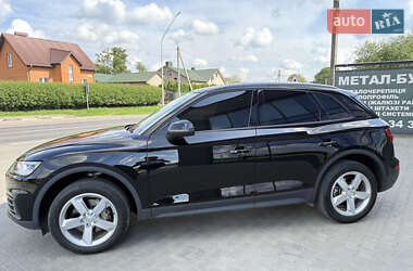 Внедорожник / Кроссовер Audi Q5 2019 в 
